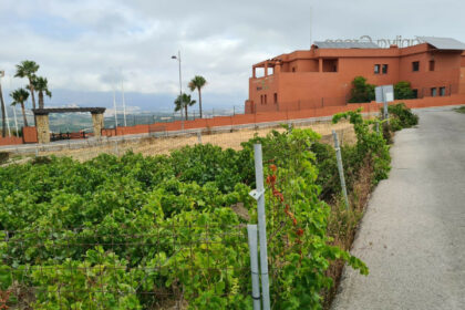 13cc43a84dcb414ce62a7a0af33fcd83 - 5