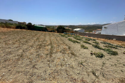 13cc43a84dcb414ce62a7a0af33fcd83 - 6