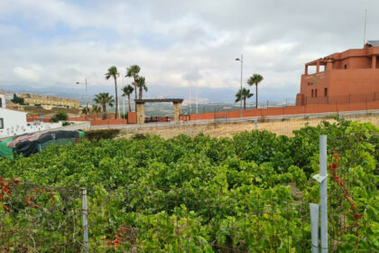 13cc43a84dcb414ce62a7a0af33fcd83 - 7