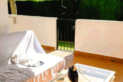 13d12f33216af22d3c7e573f518a6ace - 6