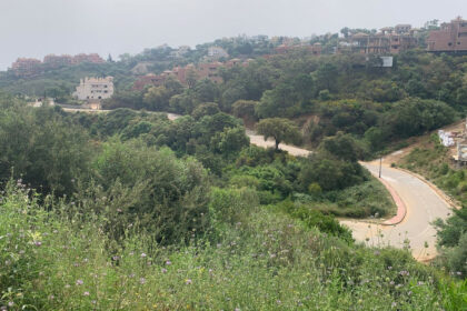 1692cad8428e3137570097dfb24fe274 - 10