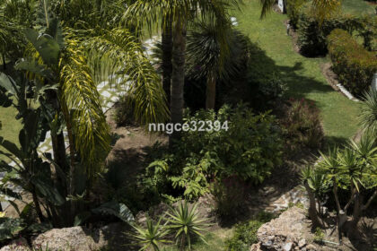 16a685289068635d4a4d9c935dea4e13 - 34