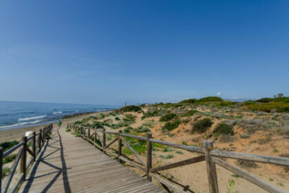 184af50d85cc56435ab4d2c465006702 - 22