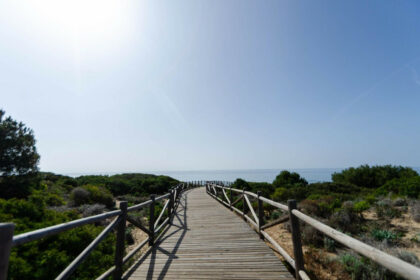 184af50d85cc56435ab4d2c465006702 - 25