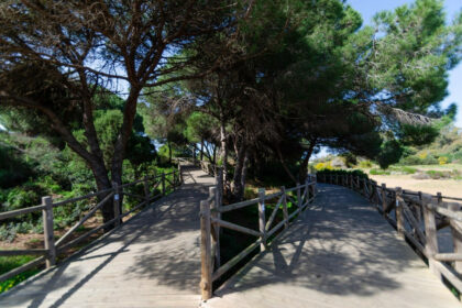 184af50d85cc56435ab4d2c465006702 - 29