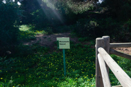 184af50d85cc56435ab4d2c465006702 - 30