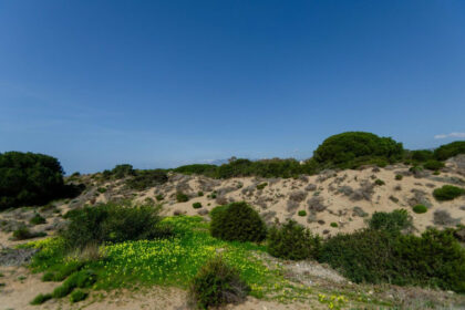 184af50d85cc56435ab4d2c465006702 - 31