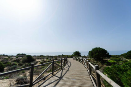 184af50d85cc56435ab4d2c465006702 - 33