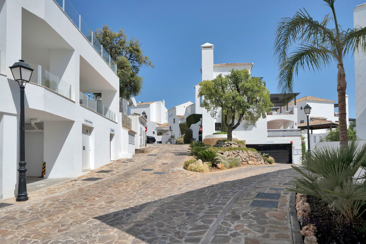 1bff3e1c890318e5faaf00264dc5fc20 - 37