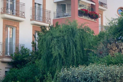 1fc93f3ff3d33e80e8a3605e924af585 - 15