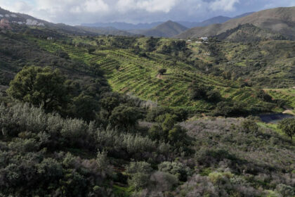 1fe2b5057a3793f319b099927dc8ff39 - 10