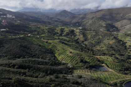 1fe2b5057a3793f319b099927dc8ff39 - 11