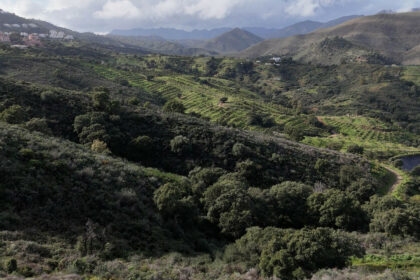 1fe2b5057a3793f319b099927dc8ff39 - 8