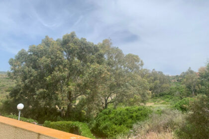 20734c1b20ae8e85aeef81162d11f541 - 15