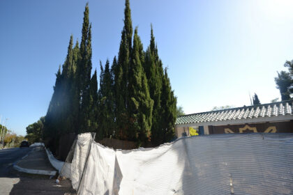 21b1acc90a18e5b51d73306b9c0dea52 - 1