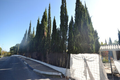 21b1acc90a18e5b51d73306b9c0dea52 - 2