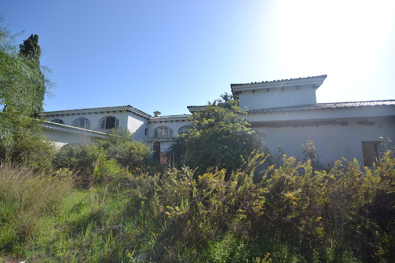 21b1acc90a18e5b51d73306b9c0dea52 - 5