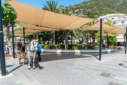 2976ca3d0b604d6f1a9f8cd7cba06dbc - 29