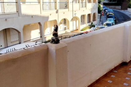 2ec05ffa72999ca73ec8d81703d4b0b4 - 22