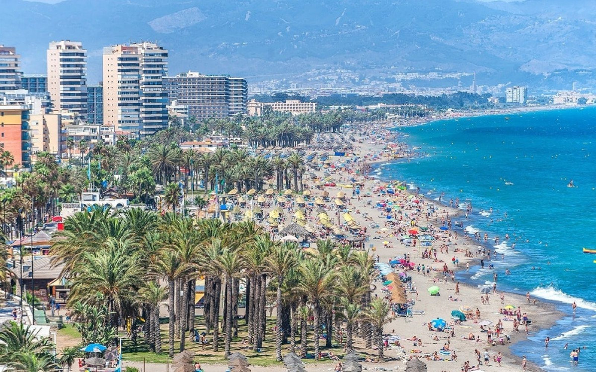 31558ad95569b0c18a2f0280dc3ce805 - 2