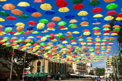 31558ad95569b0c18a2f0280dc3ce805 - 3