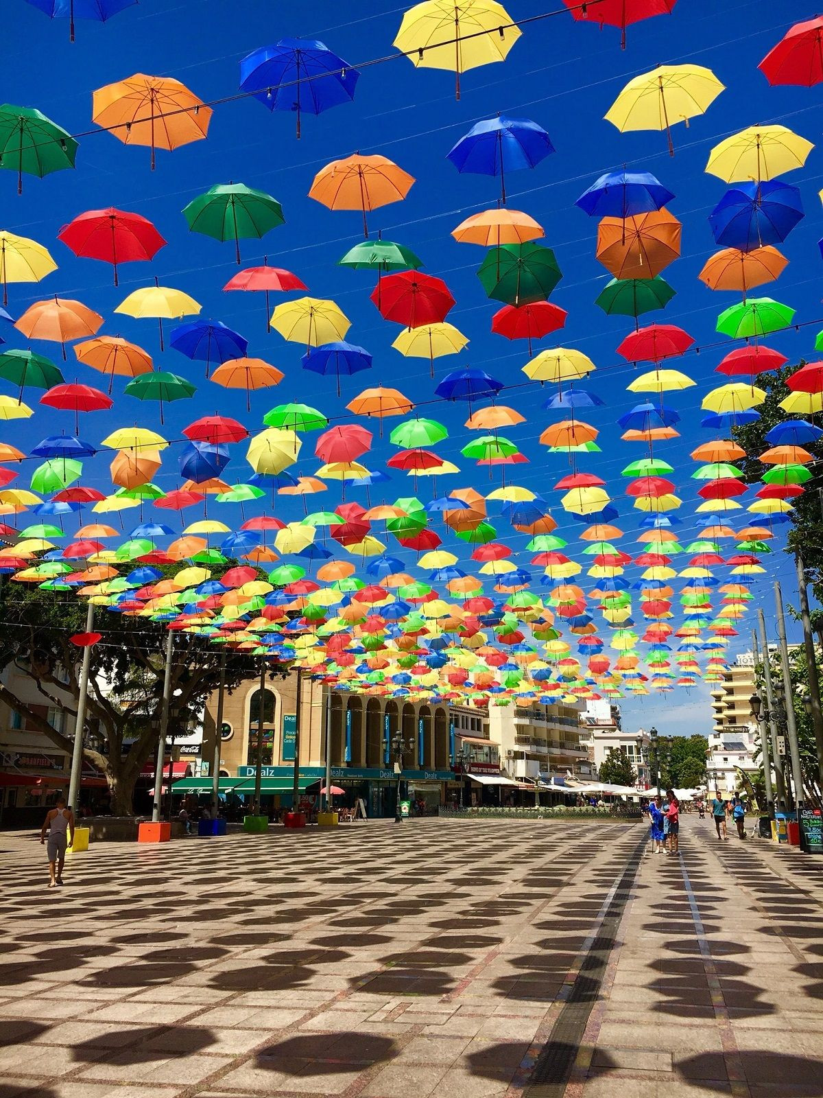 31558ad95569b0c18a2f0280dc3ce805 - 3