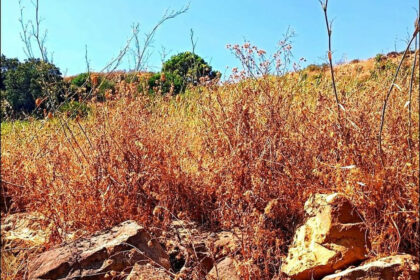 3334589e608732dcc62445f6c66d8073 - 3