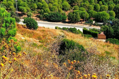 3334589e608732dcc62445f6c66d8073 - 5