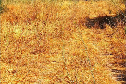 3334589e608732dcc62445f6c66d8073 - 6