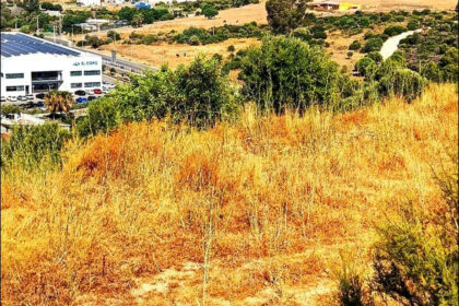 3334589e608732dcc62445f6c66d8073 - 7