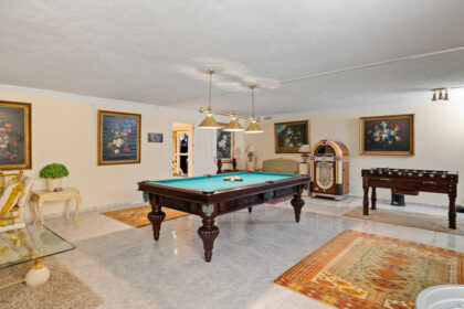 33a45b8a3d9065b94a48946c9dd57419 - 46