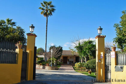 35cf245b9163a3af300ca8cd8267882f - 29