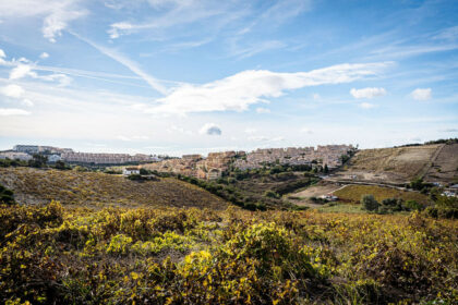 35e603bb02f4f120d959191827b15a98 - 11