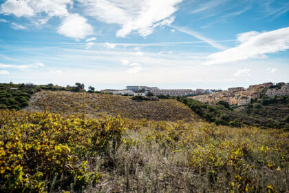 35e603bb02f4f120d959191827b15a98 - 12