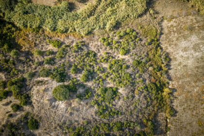 35e603bb02f4f120d959191827b15a98 - 15