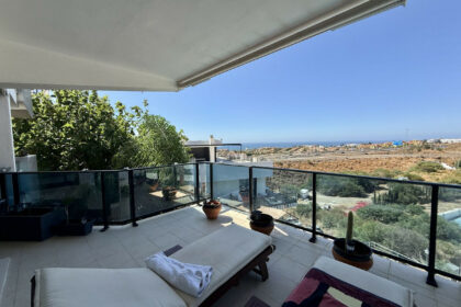 3807c36c5c5d5a57593deb6e43b7ef56 - 3