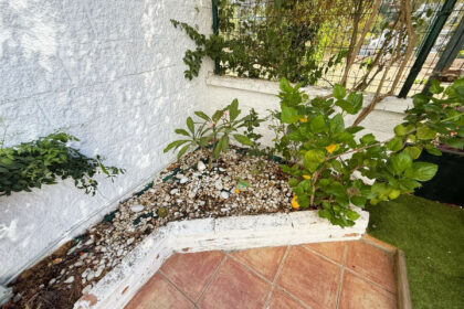 396ce34feae417ec2d46b5e446ebfe6c - 24