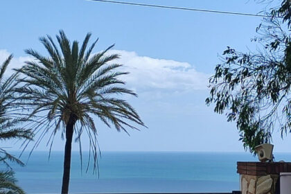 3db497c73e7b3f7209aa023db4066b69 - 1