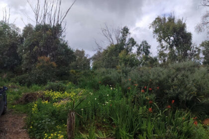 3db497c73e7b3f7209aa023db4066b69 - 10