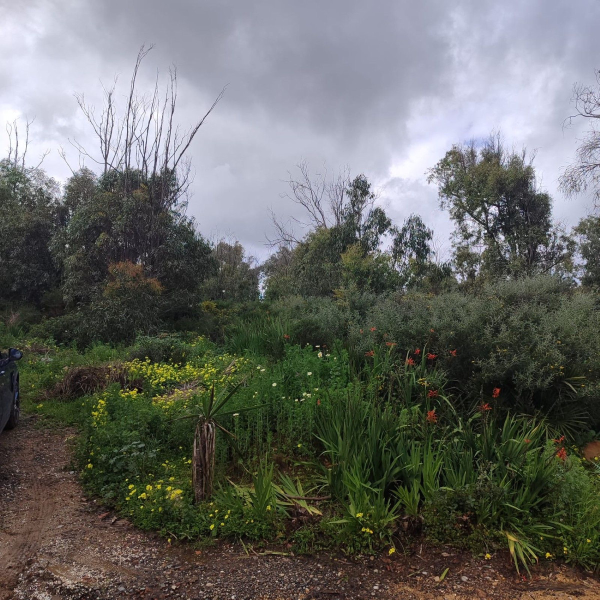 3db497c73e7b3f7209aa023db4066b69 - 10