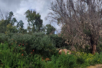 3db497c73e7b3f7209aa023db4066b69 - 11