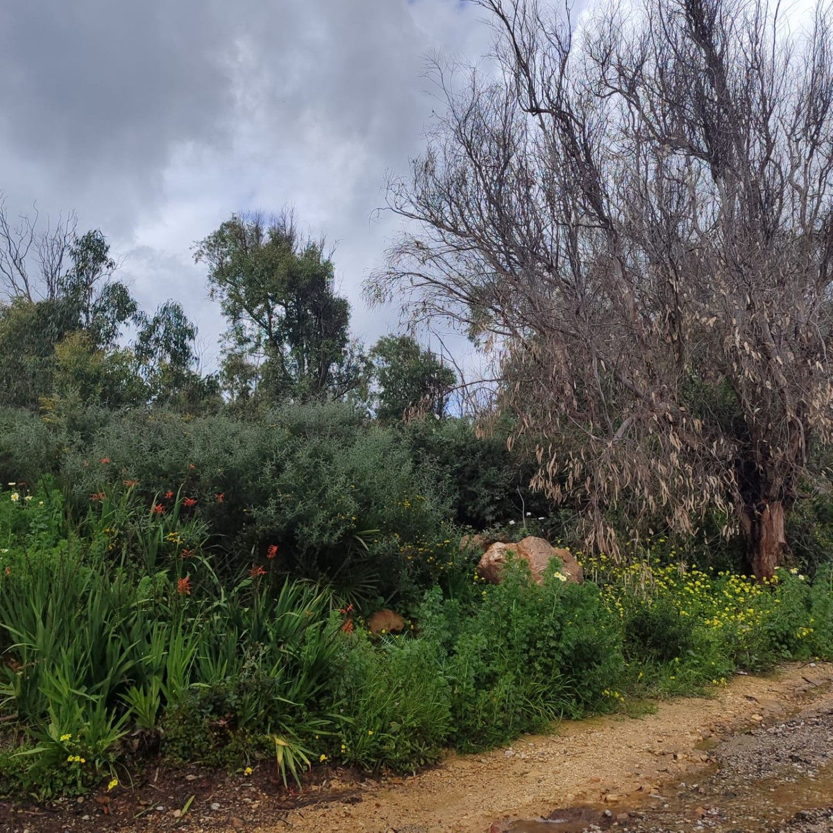 3db497c73e7b3f7209aa023db4066b69 - 11