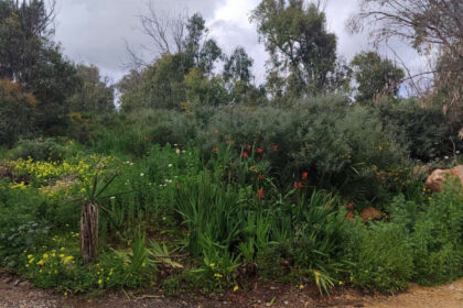 3db497c73e7b3f7209aa023db4066b69 - 12