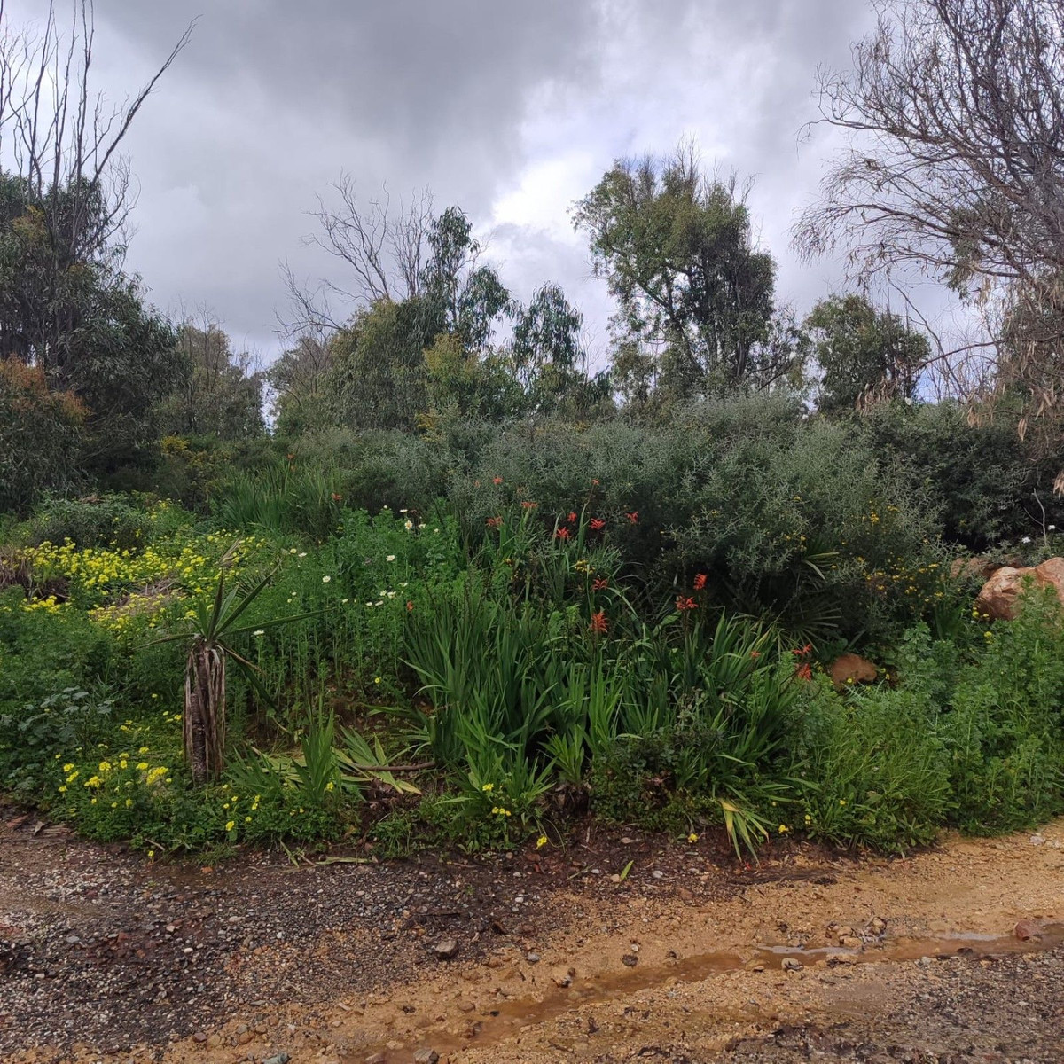 3db497c73e7b3f7209aa023db4066b69 - 12