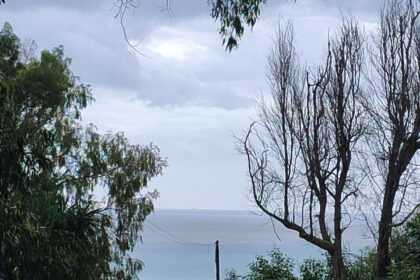 3db497c73e7b3f7209aa023db4066b69 - 5