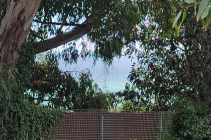 3db497c73e7b3f7209aa023db4066b69 - 9