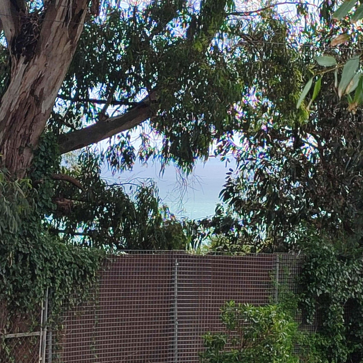 3db497c73e7b3f7209aa023db4066b69 - 9