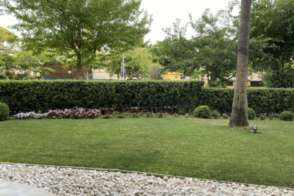 40d071388eaa98862cbf537b463a8686 - 19