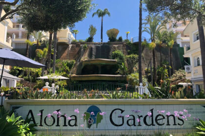 41db8836cba0e803b1df3af201a07d79 - 5