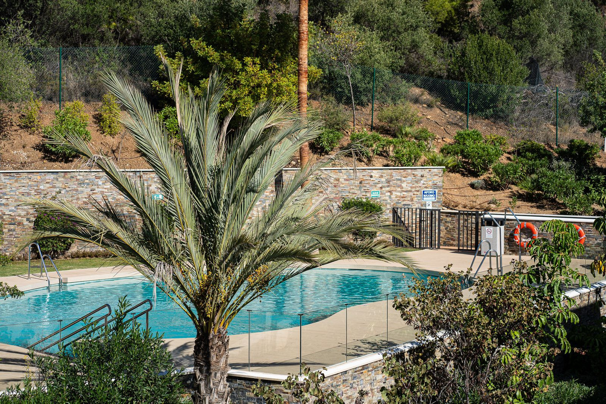 43504fa35c962c8a70be8cc1ca7b4cec - 23